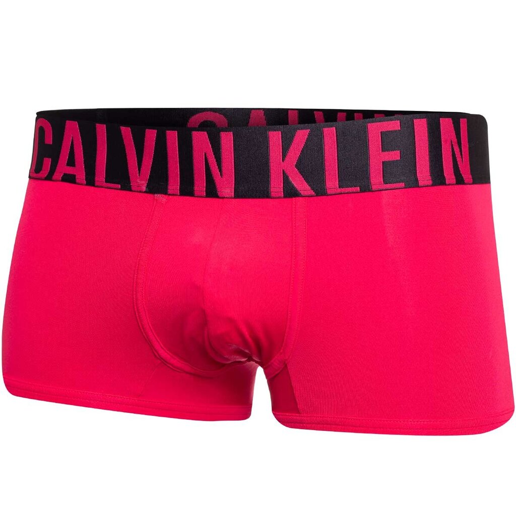 Trumpikės vyrams Calvin Klein 50154, juodi kaina ir informacija | Trumpikės | pigu.lt