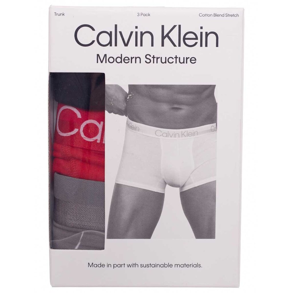 Trumpikės vyrams Calvin Klein 50172, raudoni kaina ir informacija | Trumpikės | pigu.lt