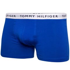 Trumpikės vyrams Tommy Hilfiger 50019, mėlyni kaina ir informacija | Trumpikės | pigu.lt