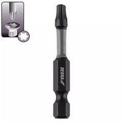 Atsuktuvų antgaliai Torx T30x50mm, 2vnt. цена и информация | Механические инструменты | pigu.lt