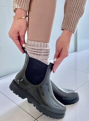 Guminiai batai moteriims PBP32903, žali цена и информация | Женские резиновые сапоги | pigu.lt