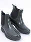 Guminiai batai moteriims PBP32903, žali цена и информация | Guminiai batai moterims | pigu.lt