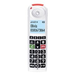 Стационарный телефон Swiss Voice Xtra 2355 цена и информация | Стационарные телефоны | pigu.lt