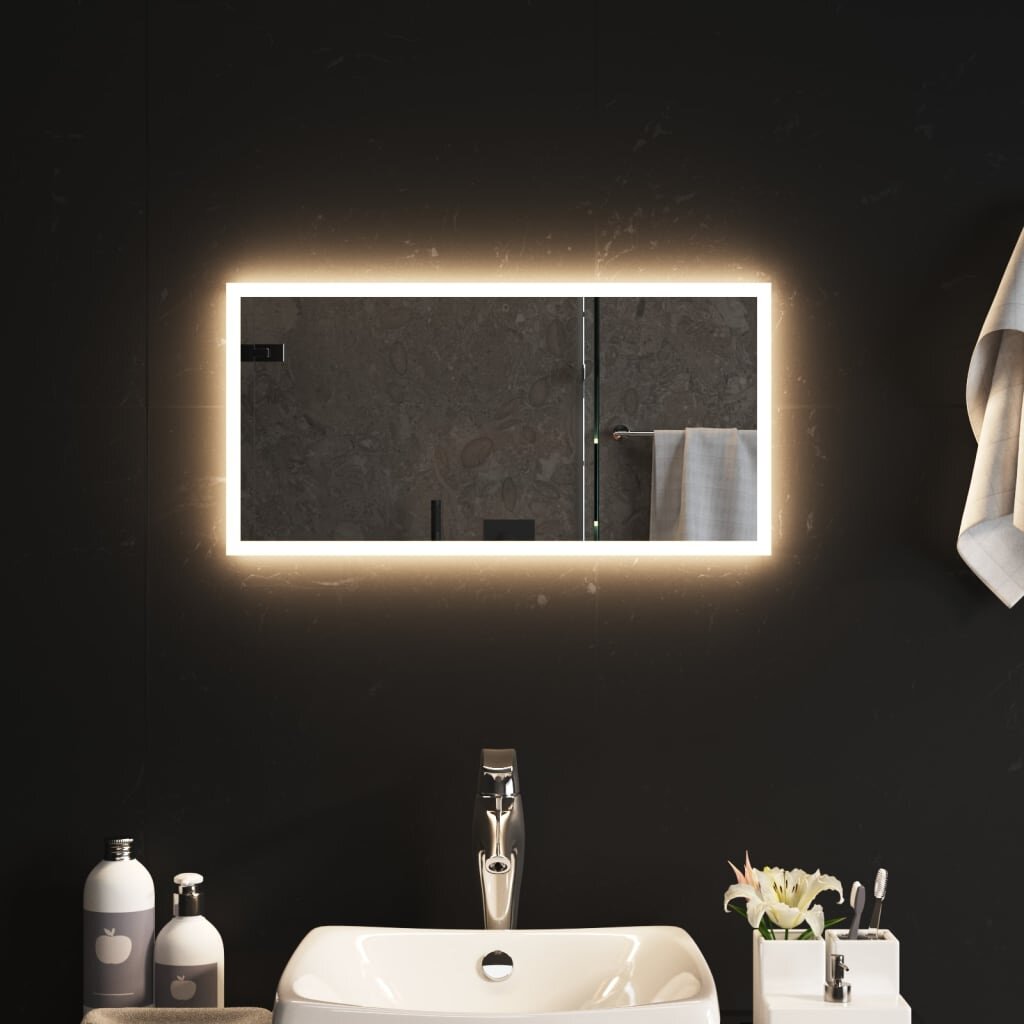 Vonios kambario led veidrodis, 30x60cm цена и информация | Veidrodžiai | pigu.lt