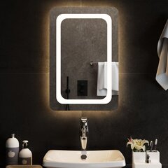 Vonios kambario led veidrodis, 40x60cm kaina ir informacija | Veidrodžiai | pigu.lt