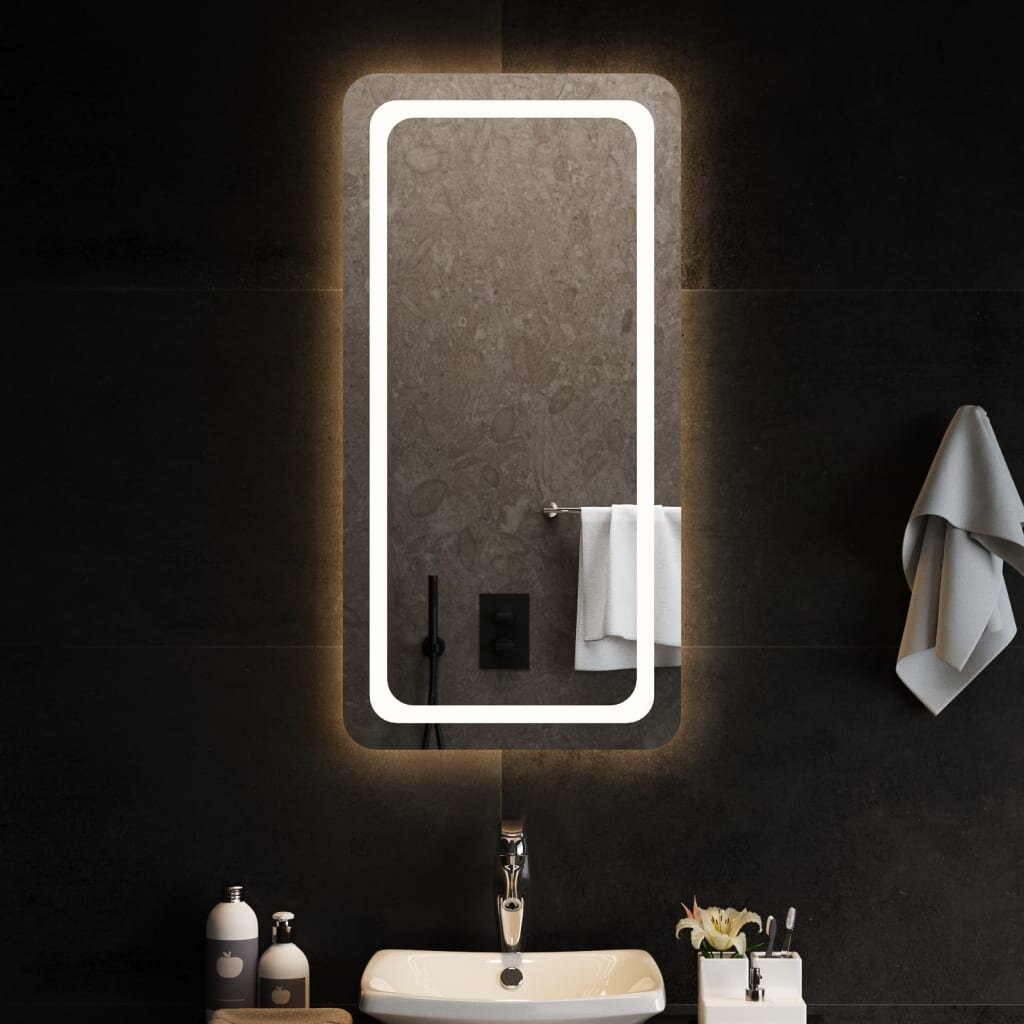 Vonios kambario led veidrodis, 50x100cm цена и информация | Veidrodžiai | pigu.lt