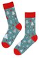 Kojinės moterims Ginger Santa Nicolas, mėlynos, 3 poros цена и информация | Moteriškos kojinės | pigu.lt