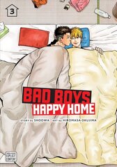 Bad Boys, Happy Home, Vol. 3 kaina ir informacija | Fantastinės, mistinės knygos | pigu.lt