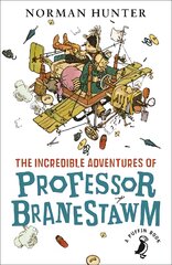 Incredible Adventures of Professor Branestawm цена и информация | Книги для подростков и молодежи | pigu.lt