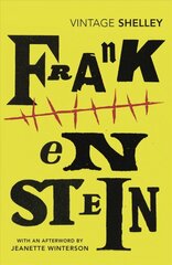 Frankenstein kaina ir informacija | Fantastinės, mistinės knygos | pigu.lt