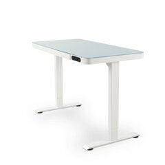Rašomasis stalas Nate, Plienas, (120,3 x 60,3 cm), balta kaina ir informacija | Kompiuteriniai, rašomieji stalai | pigu.lt
