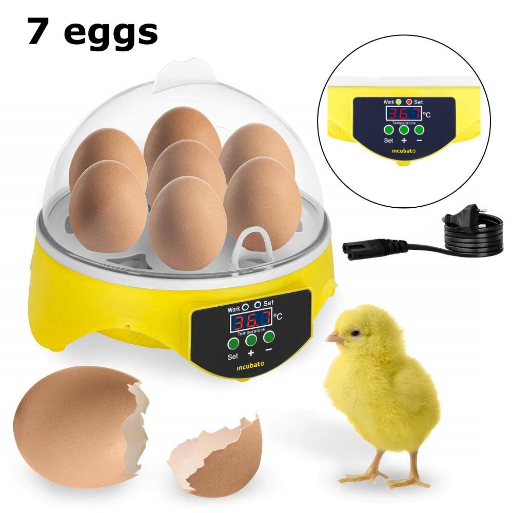 Kiaušinių inkubatorius, 7 kiaušinių kaina ir informacija | Prekės ūkiniams gyvūnams | pigu.lt