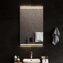 Vonios kambario led veidrodis, 60x100cm kaina ir informacija | Veidrodžiai | pigu.lt