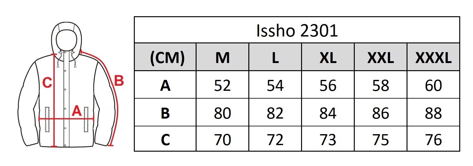 Vyriška striukė Issho, 2301 цена и информация | Vyriškos striukės | pigu.lt