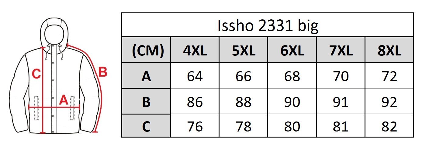 Vyriška striukė Issho 2331, didelė цена и информация | Vyriškos striukės | pigu.lt