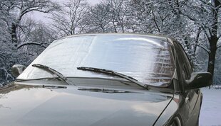 Automobilio lango uždangalas SnowShade kaina ir informacija | Auto reikmenys | pigu.lt