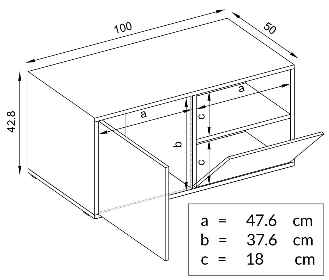 Svetainės indauja su 2 durelėmis, Kavos Staliukas, Extreme Furniture, Venice, 100x42x50 cm kaina ir informacija | Kavos staliukai | pigu.lt