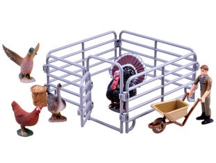 Figūrėlių rinkinys "Naminių paukščių ūkis" kaina ir informacija | Lavinamieji žaislai | pigu.lt
