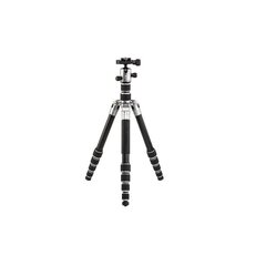 Benro Tripster Titanium S1 + B0 цена и информация | Штативы для фотоаппаратов | pigu.lt