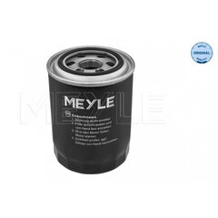 Alyvos filtras Meyle 37-14 322 0001 Hyundai kaina ir informacija | Auto reikmenys | pigu.lt
