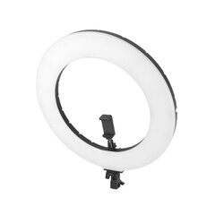 Formax LED60, 1 шт. цена и информация | Осветительное оборудование для фотосъемки | pigu.lt