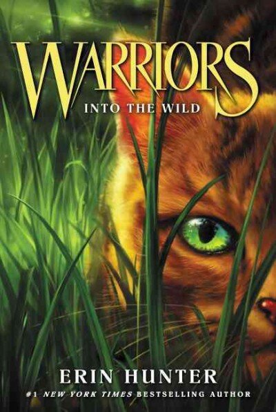 Warriors #1: Into the Wild цена и информация | Knygos paaugliams ir jaunimui | pigu.lt