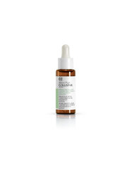 Veido serumas Collistar Salicylic Acid + Succinic Acid, 30 ml kaina ir informacija | Veido aliejai, serumai | pigu.lt