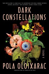 Dark Constellations kaina ir informacija | Fantastinės, mistinės knygos | pigu.lt