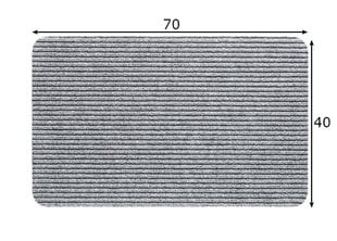 Durų kilimėlis Renox, 50 x 80 cm kaina ir informacija | Durų kilimėliai | pigu.lt