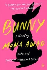 Bunny: A Novel цена и информация | Фантастика, фэнтези | pigu.lt