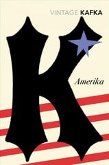 Америка цена и информация | Романы | pigu.lt