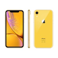 iPhone XR 64GB Yellow (atnaujinta, būklė A) kaina ir informacija | Mobilieji telefonai | pigu.lt