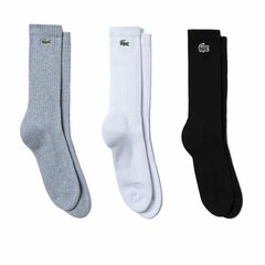 Kojinės vyrams Lacoste Sport S6456509, įvairių spalvų, 3 vnt. kaina ir informacija | Vyriškos kojinės | pigu.lt