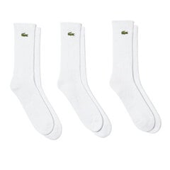 Носки Lacoste Sport 3 штук Белый цена и информация | Мужские носки | pigu.lt