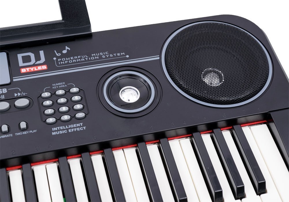 Vaikiškas pianinas 328-06 su mikrofonu, juodas kaina ir informacija | Lavinamieji žaislai | pigu.lt