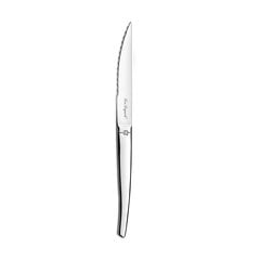 Набор ножей для мяса Amefa Jet, 12 штук цена и информация | Ножи и аксессуары для них | pigu.lt