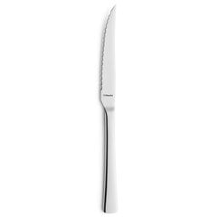 Набор ножей для мяса Amefa Atlantic, 12 шт. цена и информация | Ножи и аксессуары для них | pigu.lt