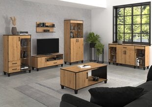 Витрина ADRK Furniture POL04, коричневый цвет цена и информация | Витрины, серванты | pigu.lt