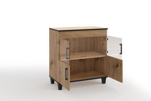 Шкаф для гостиной ADRK Furniture POL06, коричневый цвет цена и информация | Шкафчики в гостиную | pigu.lt