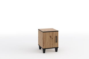Прикроватная тумбочка ADRK Мебель POL14, коричневый цвет цена и информация | Прикроватные тумбочки | pigu.lt