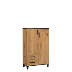 Шкаф ADRK Furniture POL15, коричневый цена и информация | Шкафы | pigu.lt