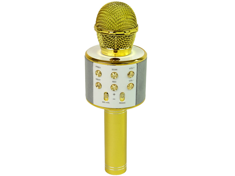 Belaidis karaoke mikrofonas su garsiakalbiais ir įrašymo funkcija WS-858, auksinis kaina ir informacija | Lavinamieji žaislai | pigu.lt