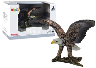 Коллекционная фигурка LEANToys Белоголовый орлан  цена и информация | Игрушки для девочек | pigu.lt