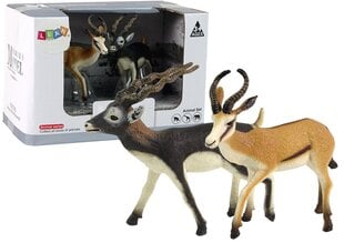 Figūrėlių rinkinys LeanToys antilopė su jaunikliu kaina ir informacija | Žaislai berniukams | pigu.lt
