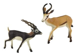 Figūrėlių rinkinys LeanToys antilopė su jaunikliu kaina ir informacija | Žaislai berniukams | pigu.lt