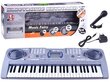 Pianinas su mikrofonu Keyboard MQ-808USB, 54 klavišai цена и информация | Lavinamieji žaislai | pigu.lt