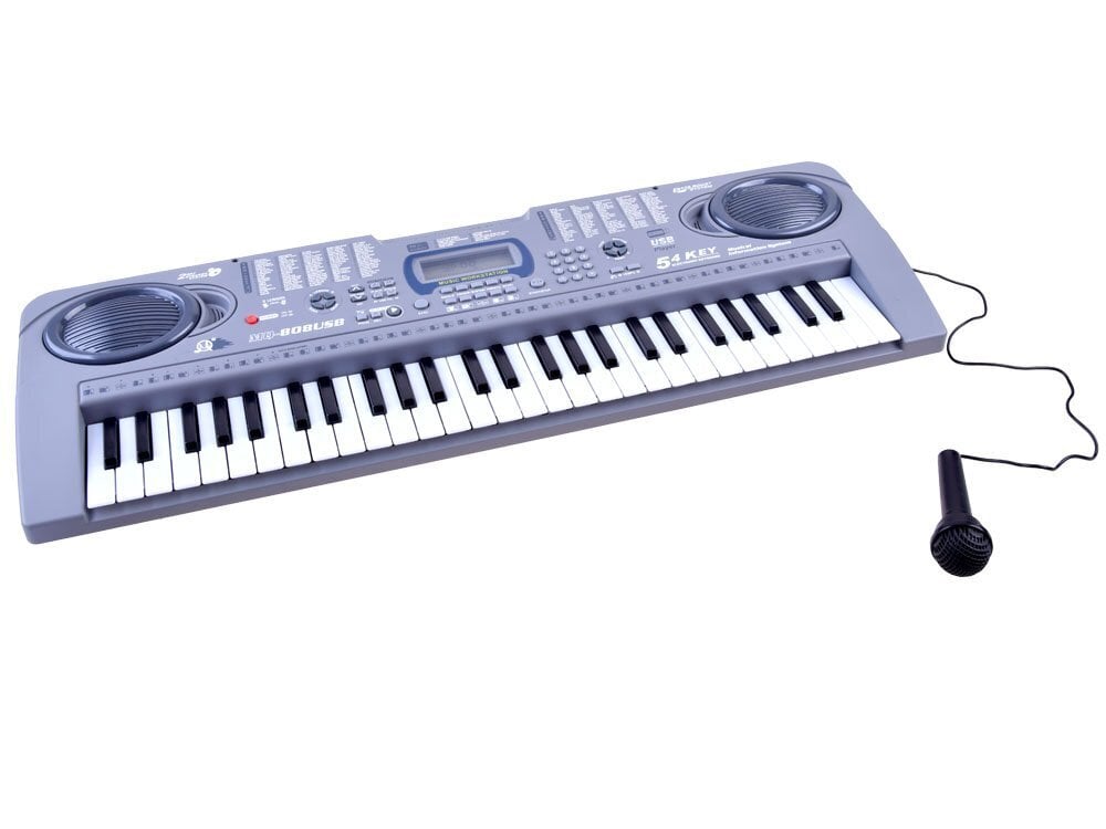 Pianinas su mikrofonu Keyboard MQ-808USB, 54 klavišai цена и информация | Lavinamieji žaislai | pigu.lt