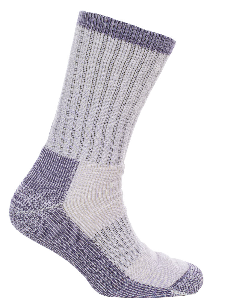 Kojinės moterims Springer FASOWAG10001HEA, pilkos kaina ir informacija | Moteriškos kojinės | pigu.lt