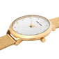 Vyriškas laikrodis Pierre Lannier 030M502 цена и информация | Vyriški laikrodžiai | pigu.lt