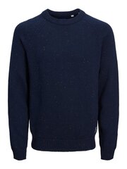 Jack & Jones детский джемпер 12219769*01, тёмно-синий 5715311722569 цена и информация | Свитеры, жилетки, пиджаки для мальчиков | pigu.lt